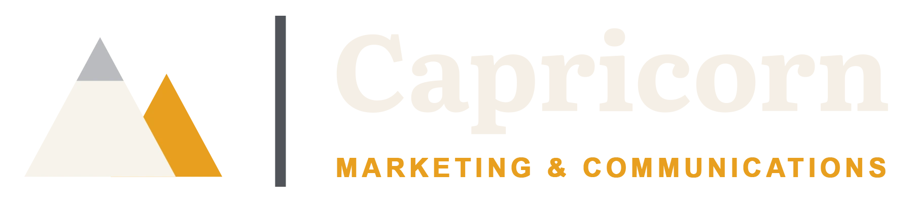 Capricorn Consulting